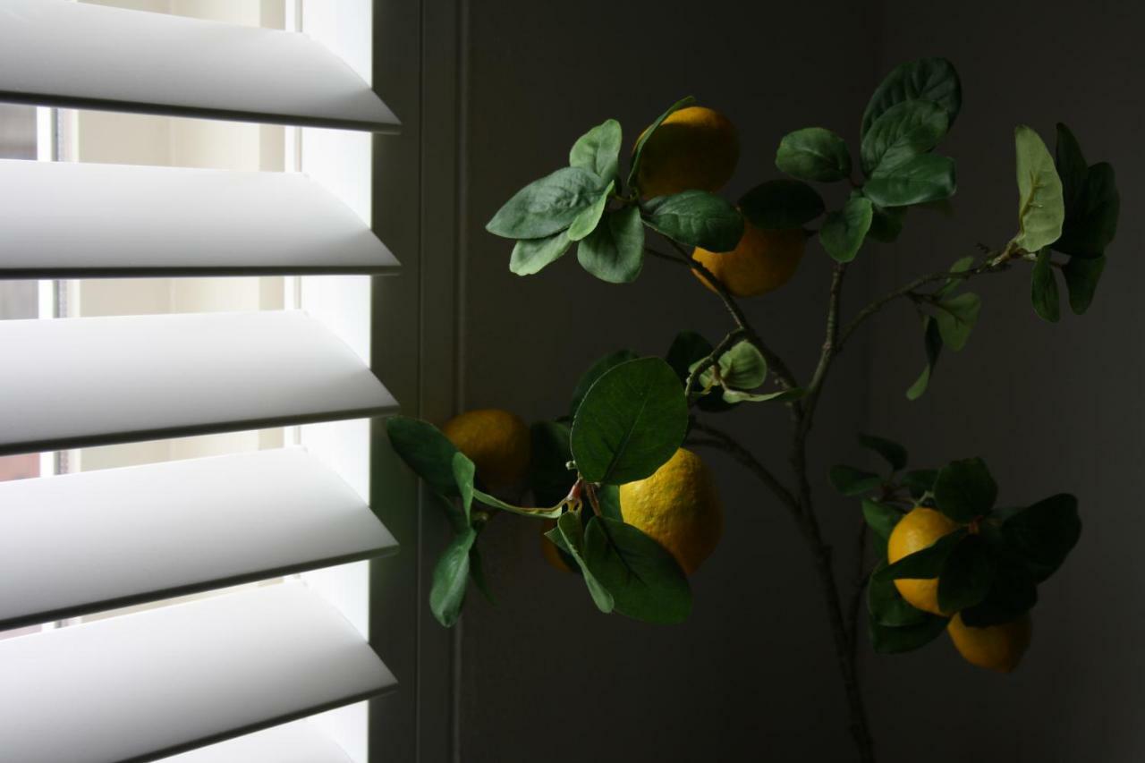 Zandvoort Studio Экстерьер фото